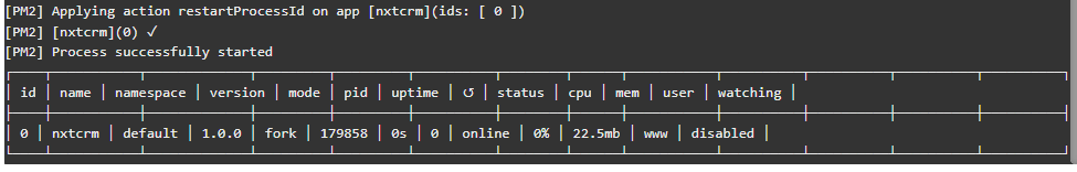 Node Project PM2 Restart not working - aaPanel - Free Hosting control ...